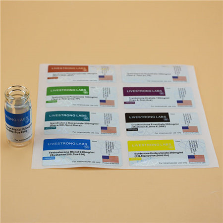 Chalkboard Labels Bundle Reusable Blackboard Storage Stickers with 3MM White Chalk Marker for Labeling Mason Jars
